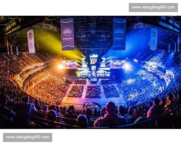 锦鲤大赛精彩纷呈 鱼跃龙门争夺年度最美锦鲤荣耀时刻